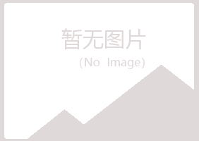 柳州鱼峰岑迷媒体有限公司